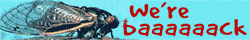 baaaaack banner