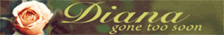 diana banner