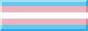 trans button
