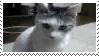 cat woah stamp