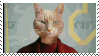 evelyn all at once stamp