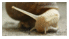 snailing out stamp