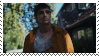 tim run stamp