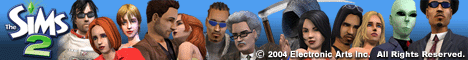 sims 2 banner