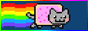 nyan cat button