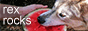 rex rocks button