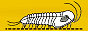 trilobites button