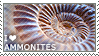 ammonites stamp