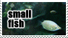 buncha fish stamp