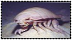 isopod stamp