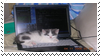 kitty computer stamp