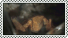 rocky stamp