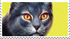 warrior cats stamp