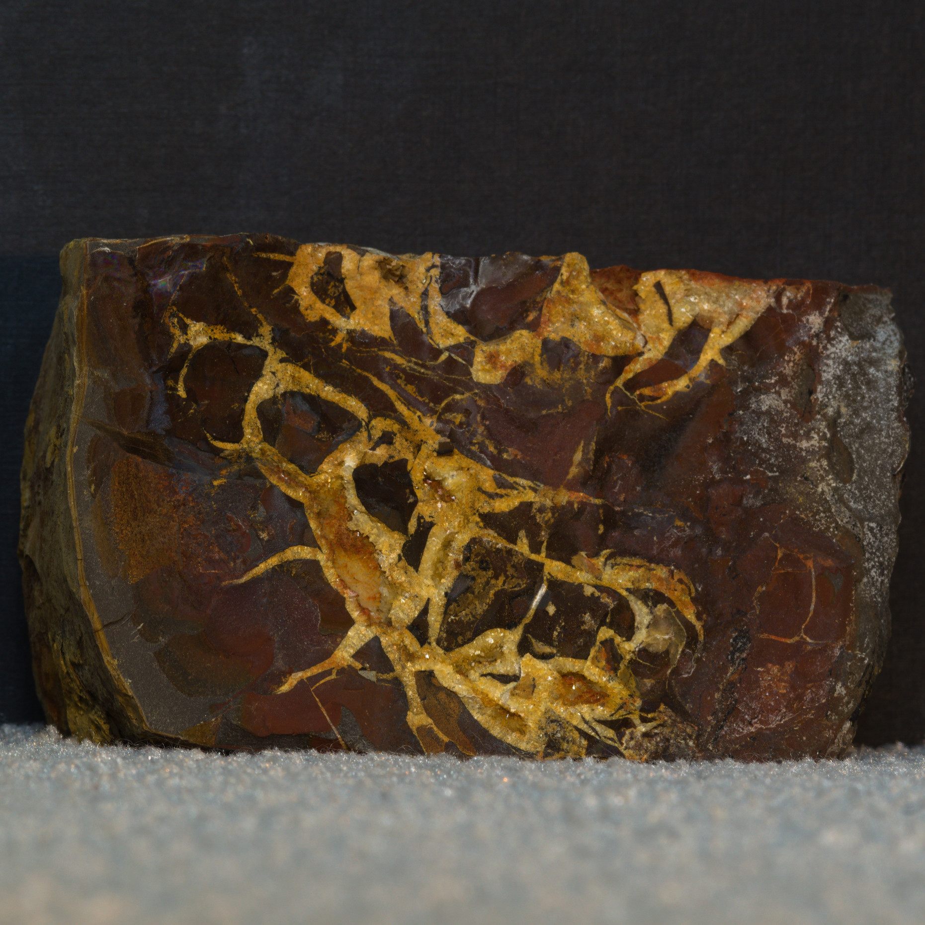 septarian-nodule.jpg