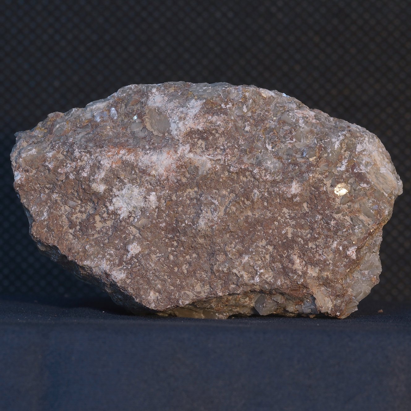 crinoidal-limestone-2.jpg