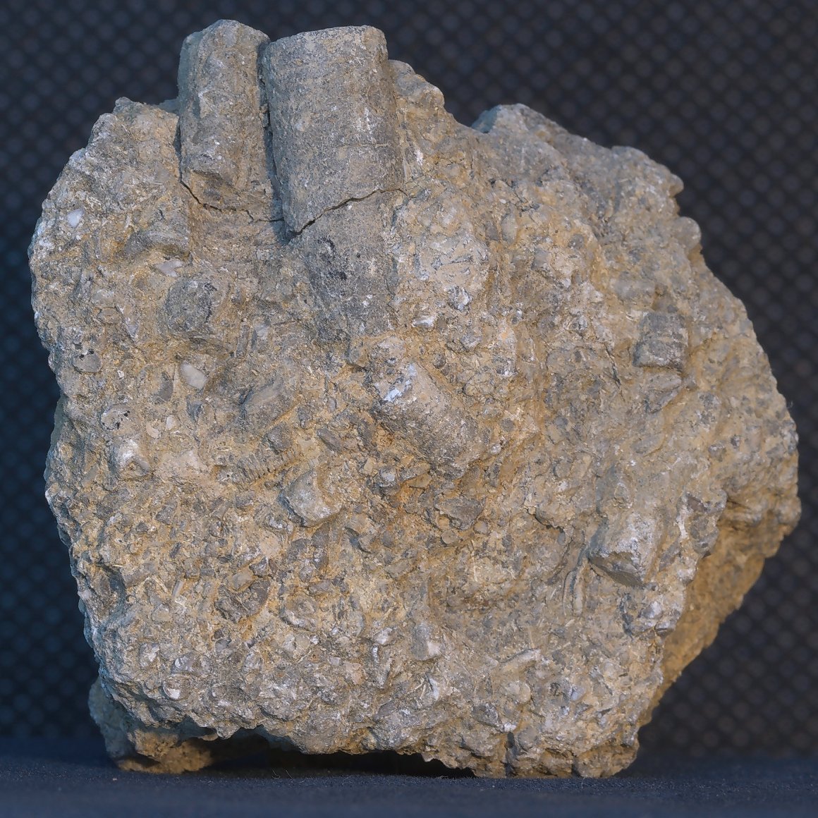 crinoidal-limestone.jpg