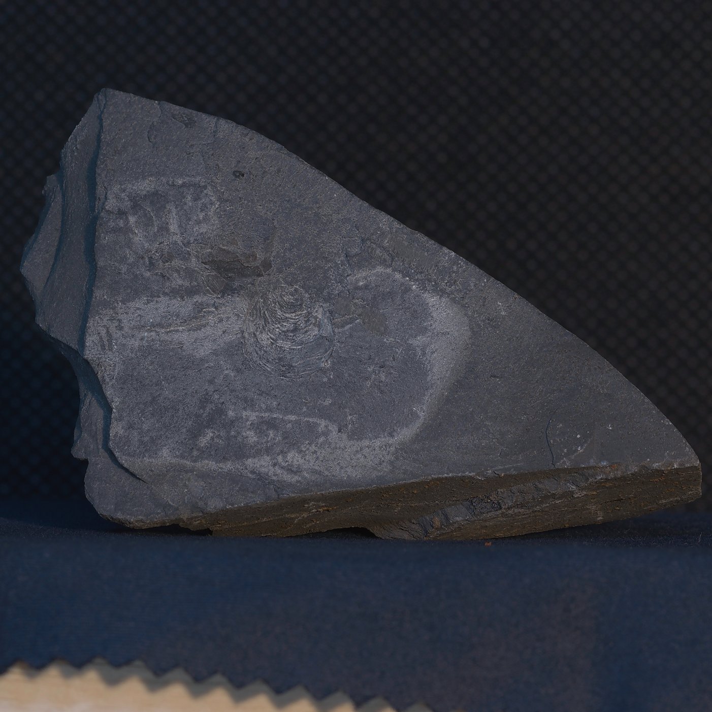 mudstone-2.jpg